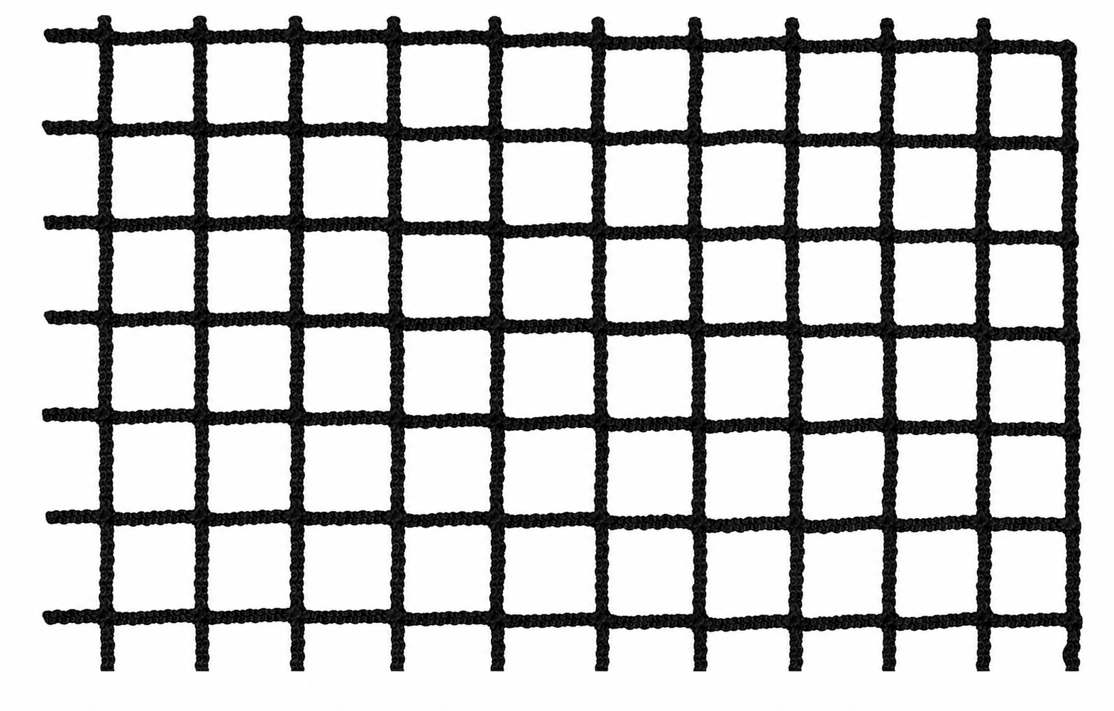 Lacrosse Net (Tournament Model), Black Netting