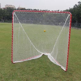 Lacrosse Goal (Backyard)