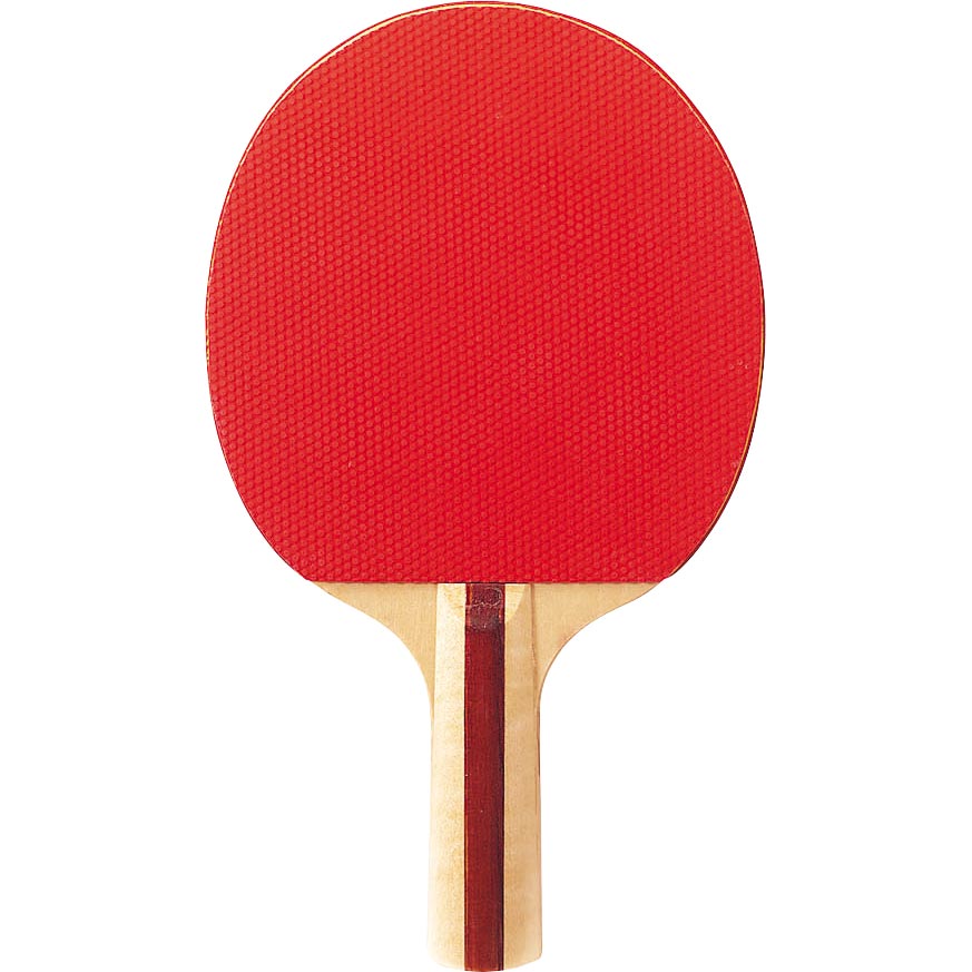 Table Tennis Paddle (Sponge and Pips-out Rubber)